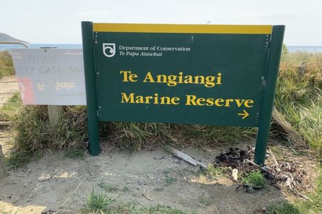 Photo of property in 87 Shoal Beach Road, Aramoana, Omakere, 4271