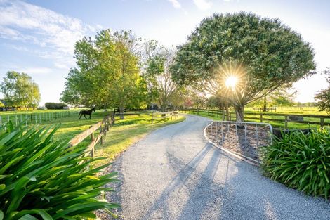 Photo of property in 446 Mystery Creek Road, Ohaupo, 3881
