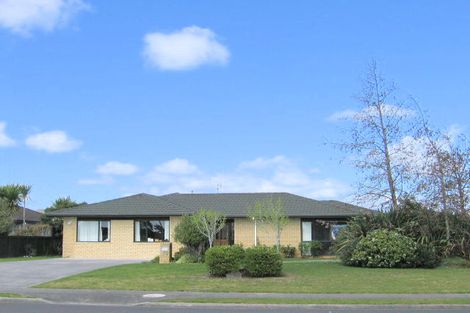 Photo of property in 172 Gloucester Road, Mount Maunganui, 3116