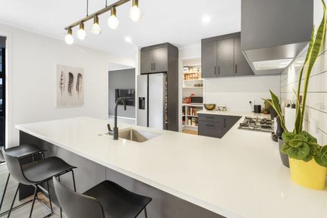 Photo of property in 13 Sydney Place, Flagstaff, Hamilton, 3210