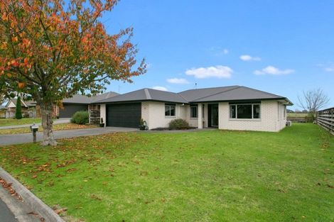 Photo of property in 16 Ashworth Place, Matamata, 3400