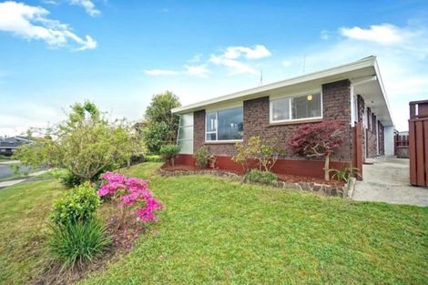 Photo of property in 17 Clydesburn Avenue, Te Puke, 3119