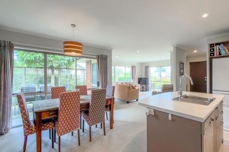 Photo of property in 19 Cambridge Street, Putaruru, 3411