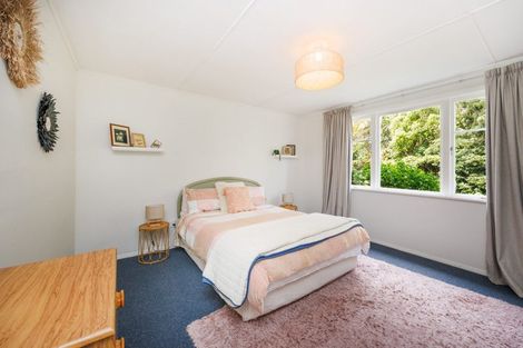 Photo of property in 204 Kawakawa Road, Feilding, 4775