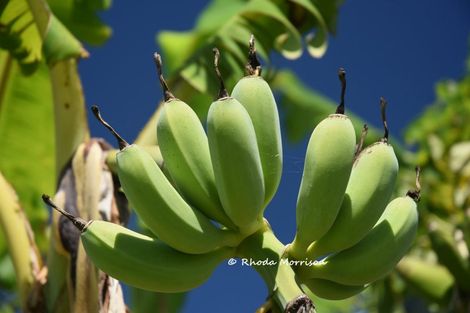 Photo of property in 354 Linton Road, Maungaturoto, 0583