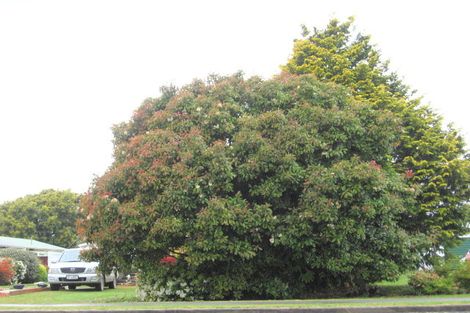 Photo of property in 75 Woodlands Road, Opotiki, 3122