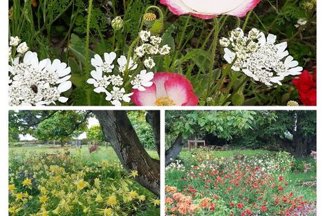 Photo of property in 40 Cashel Street, Waimate, 7924