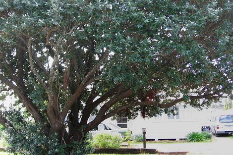 Photo of property in 35 Lyndhurst Street, Awapuni, Gisborne, 4010