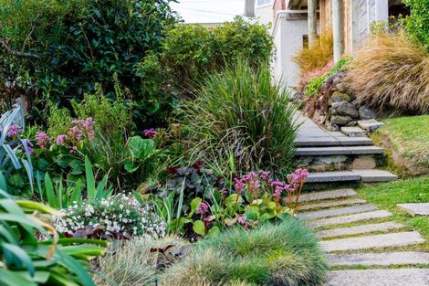 Photo of property in 36 Norman Street, Tainui, Dunedin, 9013