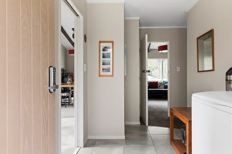 Photo of property in 206 Brook Street, The Brook, Nelson, 7010