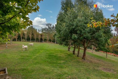 Photo of property in 13 Sproull Drive, Scroggs Hill, Dunedin, 9076