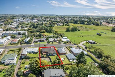Photo of property in 15 Sholson Street, Putaruru, 3411