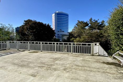 Photo of property in 223b The Terrace, Wellington Central, Wellington, 6011