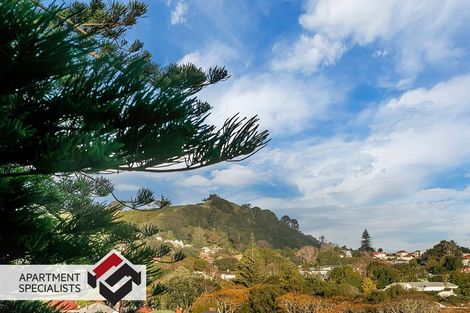 Photo of property in 3/11g Akepiro Street, Mount Eden, Auckland, 1024