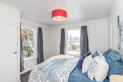 Photo of property in 77 Majoribanks Street, Mount Victoria, Wellington, 6011