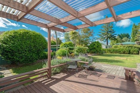 Photo of property in 99 Rimu Street, Maeroa, Hamilton, 3200