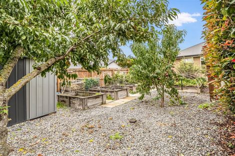 Photo of property in 6 Ormandy Court, Amberley, 7410