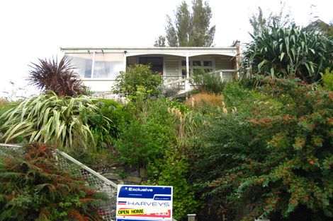 Photo of property in 58 Peter Street, Caversham, Dunedin, 9012