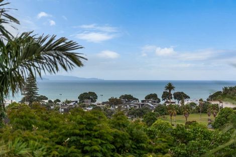 Photo of property in 71 William Bayes Place, Red Beach, 0932