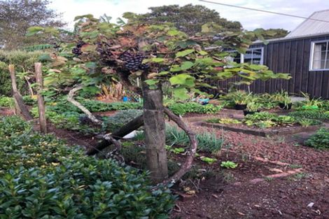 Photo of property in 6 Courthouse Lane, Waimate North, Kaikohe, 0472