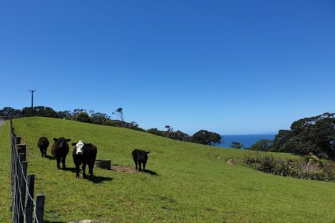 Photo of property in 100 Omaha Block Access Road, Leigh, 0985