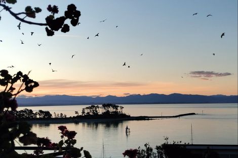 Photo of property in 11 Fifeshire Crescent, Stepneyville, Nelson, 7010