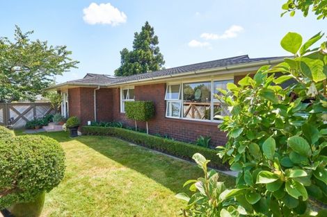 Photo of property in 203 Fitzherbert Avenue, West End, Palmerston North, 4410
