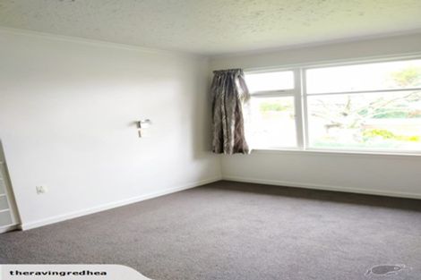 Photo of property in 167 Thomson Street, Tinwald, Ashburton, 7700