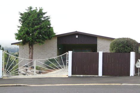 Photo of property in 17 Davies Street, Concord, Dunedin, 9018