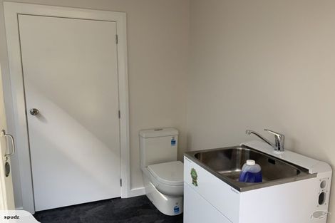 Photo of property in 45 Sutherland Road, Melrose, Wellington, 6023