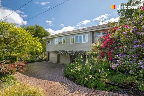 Photo of property in 193 Evans Street, Opoho, Dunedin, 9010