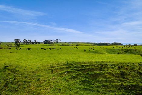 Photo of property in 78 Waitoetoe Road, Mimi, Urenui, 4377