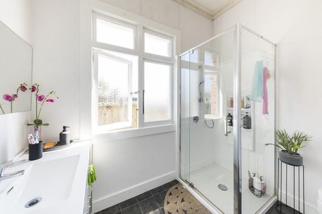 Photo of property in 53 Limbrick Street, Terrace End, Palmerston North, 4410