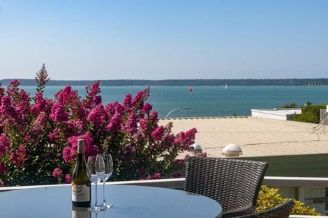 Photo of property in 38 Woods Avenue, Matua, Tauranga, 3110