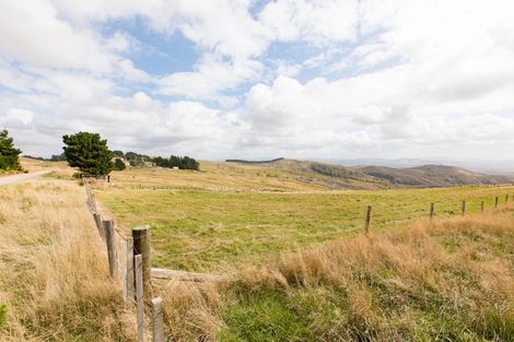 Photo of property in 668b Old Hill Road, Porangahau, 4291