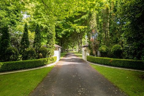 Photo of property in 161 Bollard Road, Tamahere, Hamilton, 3283