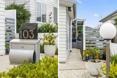 Photo of property in 11 Kamahi Crescent, Papamoa Beach, Papamoa, 3118