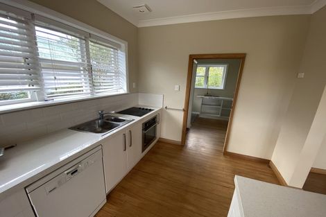 Photo of property in 29 Bledisloe Terrace, Hamilton East, Hamilton, 3216