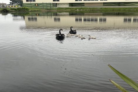 Photo of property in 252b Porchester Road, Takanini, 2112