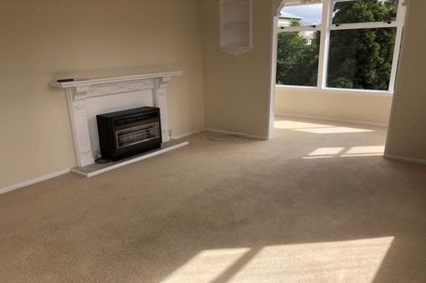 Photo of property in 20 Carrington Street, Mount Cook, Wellington, 6021