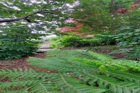 Photo of property in 652c Welcome Bay Road, Waitao, Tauranga, 3175