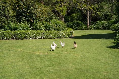 Photo of property in 35 Konini Street, Lansdowne, Masterton, 5810