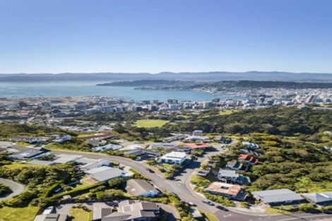 Photo of property in 3 Puketiro Avenue, Northland, Wellington, 6012