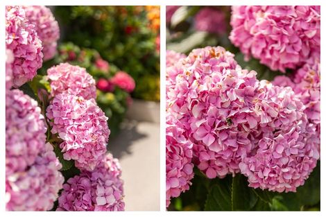 Photo of property in 720 Tararu Sh25 Road, Thames, 3500