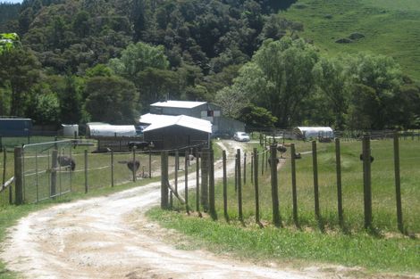 Photo of property in 644 Roydon Downs Road, Paengaroa, Te Puke, 3189