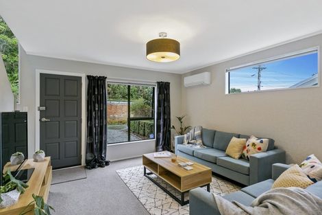 Photo of property in 1/24 Akatea Street, Berhampore, Wellington, 6023