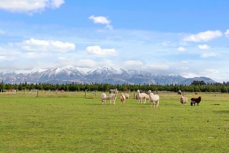 Photo of property in 241 Depot Road, Burnt Hill, Oxford, 7495