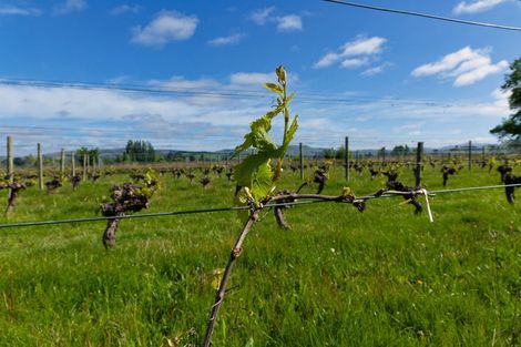 Photo of property in 35 Brighton Street, Island Bay, Wellington, 6023