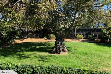 Photo of property in 22 Middle Road, Allenton, Ashburton, 7700