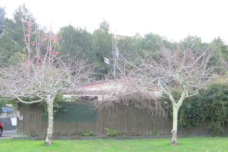 Photo of property in 123 Darraghs Road, Brookfield, Tauranga, 3110